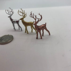 Delightful miniature reindeer