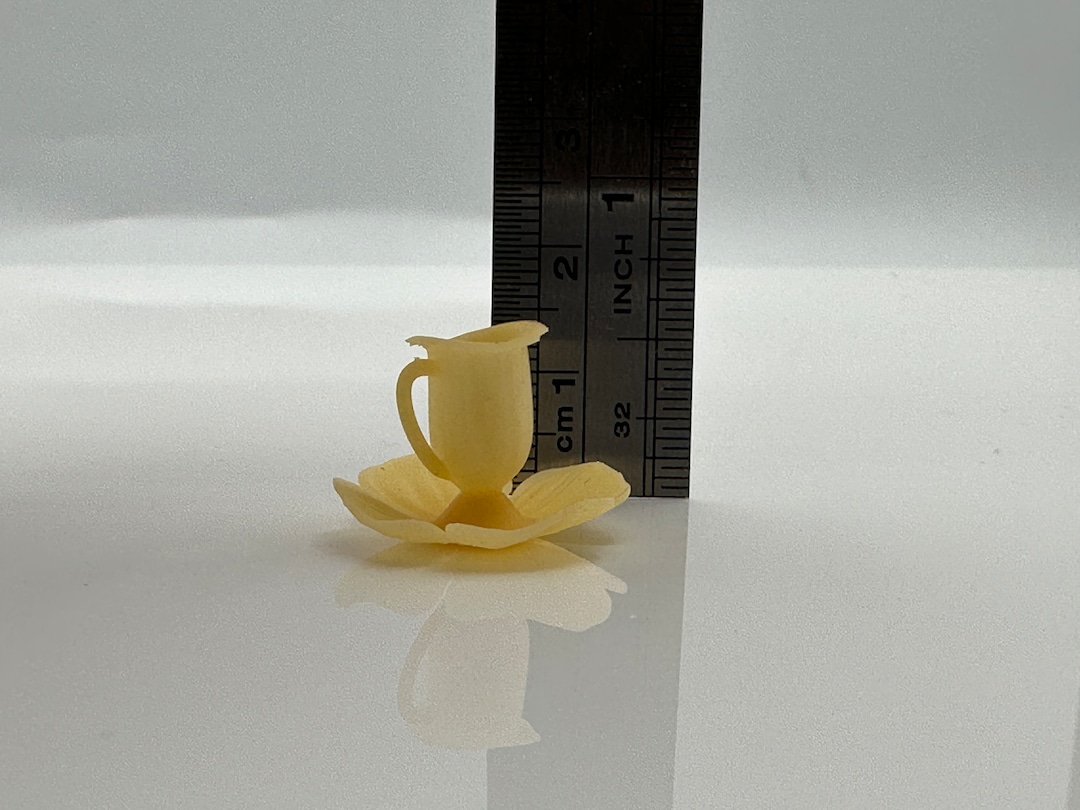 Miniature Lilly Cup - Etsy