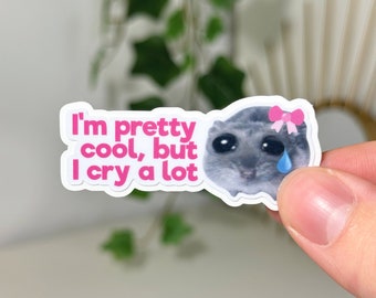 Sad Hamster Meme Sticker - Phone Sticker 'I'm pretty cool, but I cry a lot' | Funny gift idea for best friend, pink, waterproof