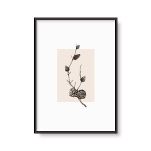 Herbst Pflanzendruck | Saison | Tannenzapfen | Herbst | Botanisches Poster | A6 A5 A4 A3 | AquarellZeichnung | Wohndekor | Wandbild | Wohnzimmer