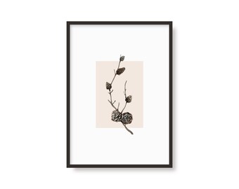 | d’impression de plantes d’automne Saison | | Pinecone | d’automne affiche botanique | A6 A5 A4 A3 | | de dessin à l’aquarelle Décoration intérieure | | d’art mural Salon