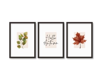Könnte beinhalten: Drei gerahmte Drucke mit Herbstthema. Der linke Druck zeigt eine Aquarell-Illustration eines grünen Blätterzweigs. Der mittlere Druck hat den Text "Hello Autumn" in schwarzer Schrift. Der rechte Druck zeigt eine Aquarell-Illustration eines roten Ahornblattes.