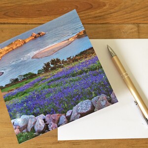 Gower-wenskaart Three Cliffs Bay Gower Britse verjaardagskaart Bluebell-kaart Wildflower-kaart Flower Card Lege notitiekaart Welsh-kaart Gower-kaart
