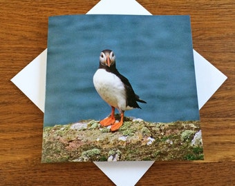 Puffin Greeting Card Birthday Card Note Card Card for Him Anniversary Card Wildlife Card Bird Card Nature Card Skomer Island Card Wild Bird
