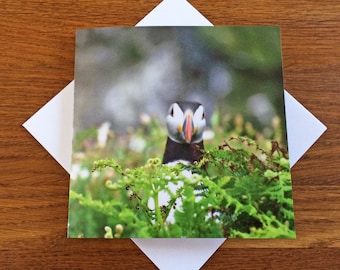 Puffin Greeting Card Birthday Card Blank Note Card Anniversary Card Wildlife Card Nature Card Skomer Puffin Card For Him New Home Card