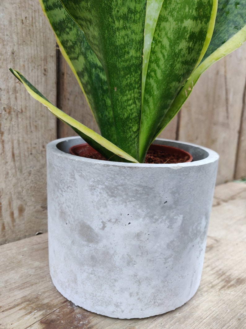 Round Concrete Plant Pot/ Handmade Plant Pot/ Minimalistic Etsy