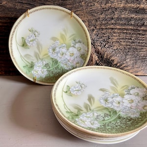 Vintage 6er Set 6 1/2&quot; RS Germany Teller, Sechs gelbe Blumen Porzellan Teller, Weiße Blume & Gold Borte Teller, Shabby Chic, Deutschland