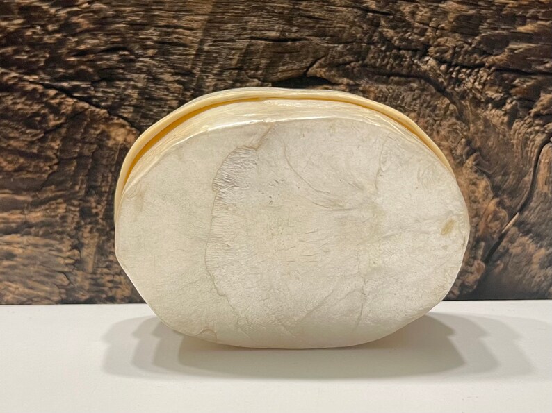 May include: A white, oval-shaped box made of mother of pearl. The box has a smooth, glossy finish and a slightly raised lid.