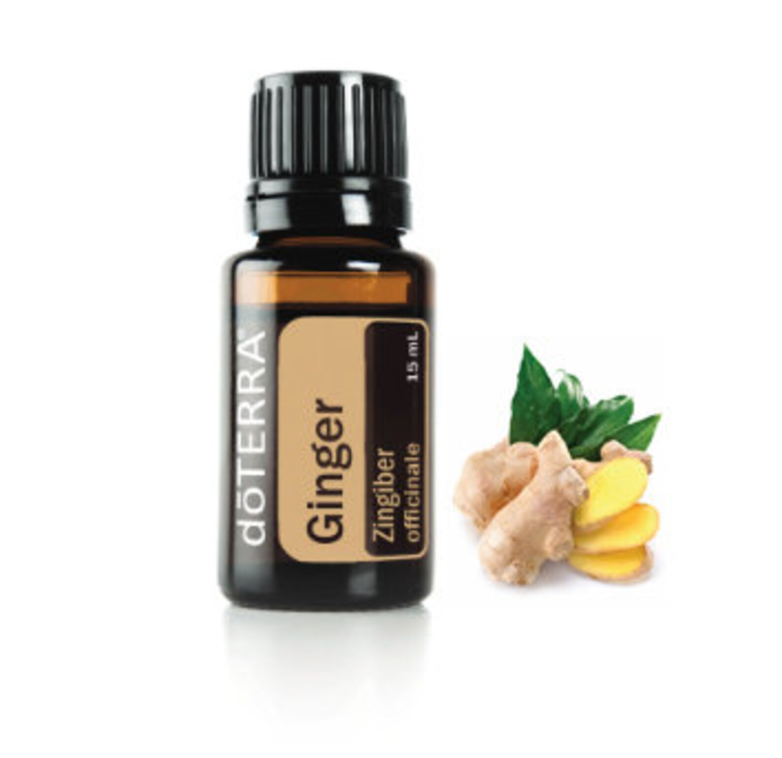 15ml doTerra Ginger oil CPTG certified pure tested grade Etsy