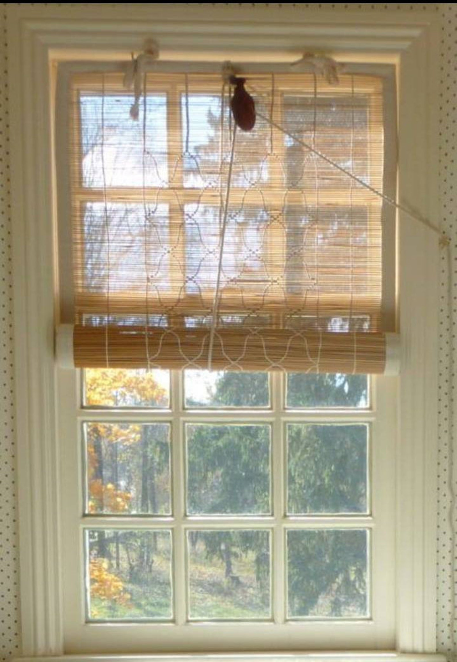 Bamboo Chik Blind Shade Natural Bamboo Blinds Sunshades Etsy