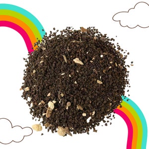 INDIA- Chai Tea