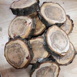 Wood Slices