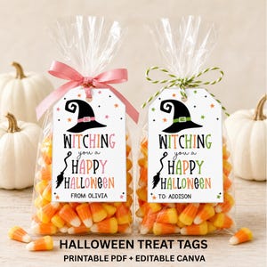 Two clear candy corn treat bags with personalized Witching You a Happy Halloween tags in pink-orange and green-orange color combinations.
