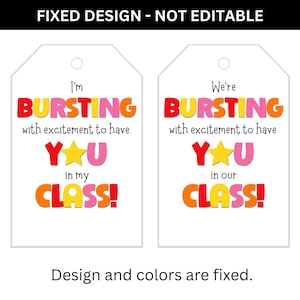 Fixed design printable classroom welcome gift tags showing non-editable artwork.