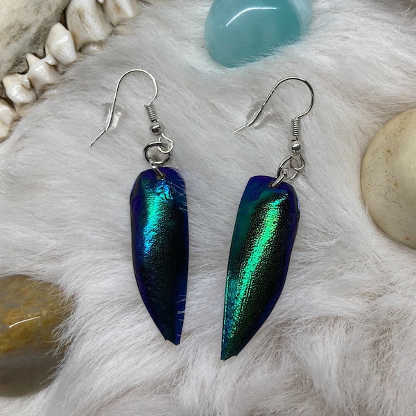 Jewel Beetle Wing Earrings