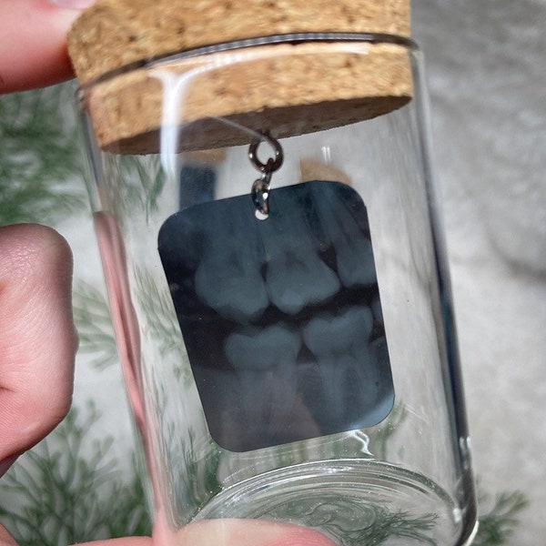 Dental X-Ray in Cork Jar - Small Oddity - Framed Oddity for Curiosity Shelf - Spooky Suncatcher - Oddities Trinket