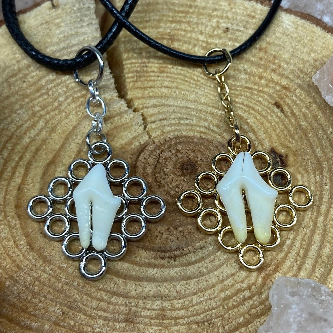 Fox Tooth Necklace Etsy
