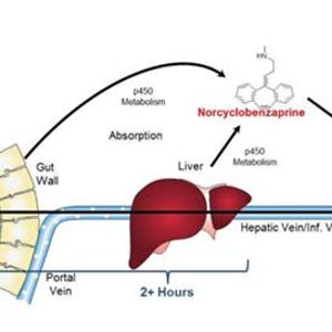Sublingual Super Root Ice Cubes: Bioactive Nutrient Boost image 16