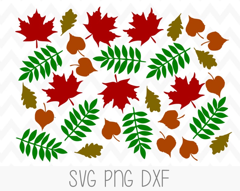 Download Fall Leaves SVG Autumn Leaf svg Nature svg For Cricut | Etsy
