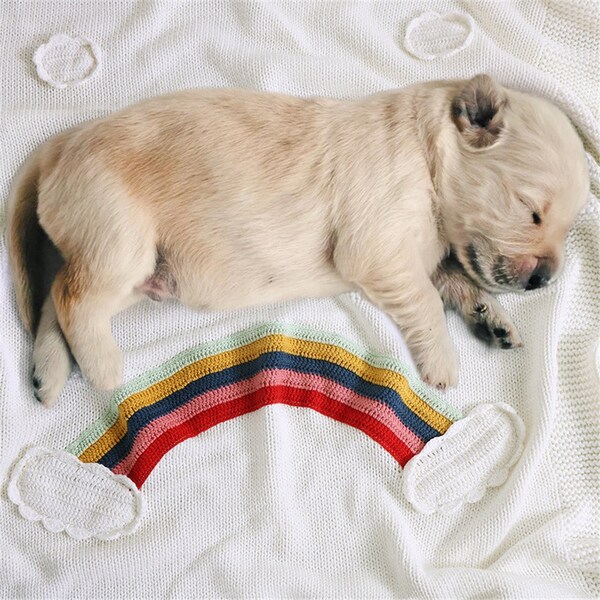 Rainbow Blanket Etsy