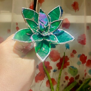 stained glass succulent