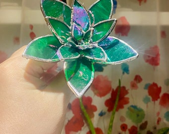 stained glass succulent