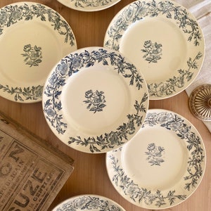 Peut inclure: Ensemble de six assiettes en céramique blanche avec des motifs floraux bleus. Les assiettes ont un bord festonné et un centre surélevé. Le motif floral présente des roses bleues et des feuilles.