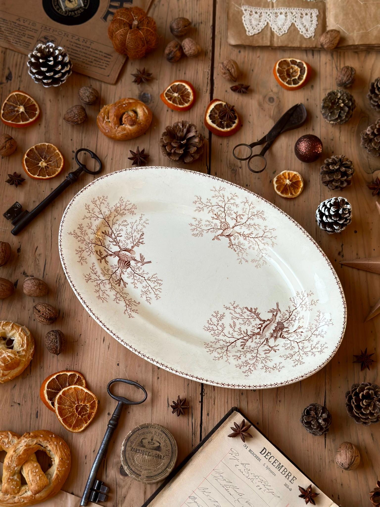 Grand Plat De Service En Grès émaillé - Forme Coquillage - Blanc Brillant - Pièce Unique
