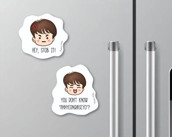 Kim Seokjin Hey Stob it, You don't know Annyeonghaseyo Magnets & Stickers
