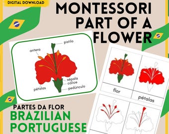 Parts of a flower Montessori 3 part cards bundle in Brazilian Portuguese, Montessori homeschool, Montessori homeschool in Portuguese