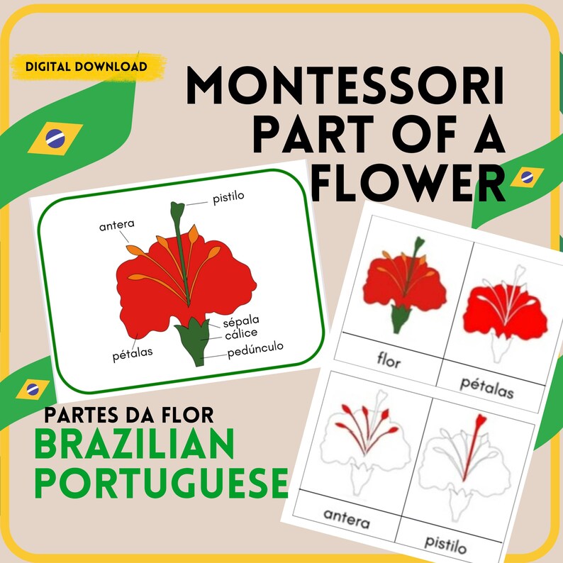 Parts of a Flower Montessori 3 Part Cards Bundle in Brazilian ...
