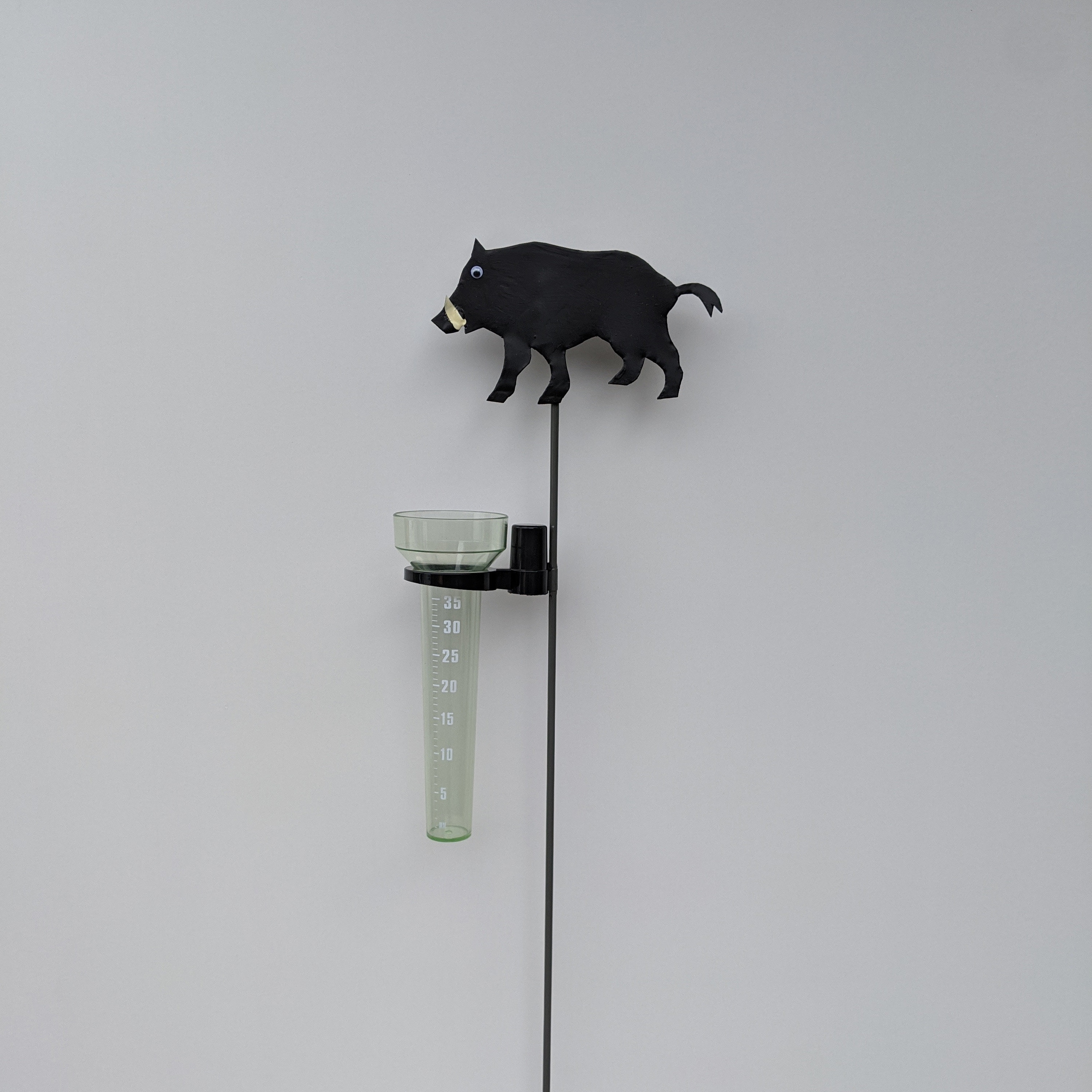 Boar J Adore