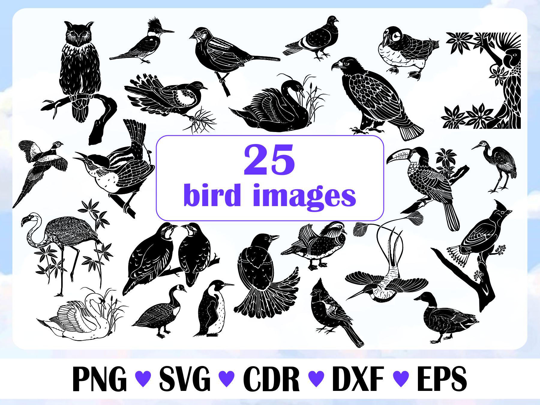 Set of Birds Silhouette, Vector Files, Birds Ornament Png, Birds ...
