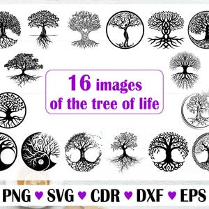 Tree vector with roots, Vector files for laser, Set of trees with silhouette, illustration simple, black svg, tattoo set, tree ornament png