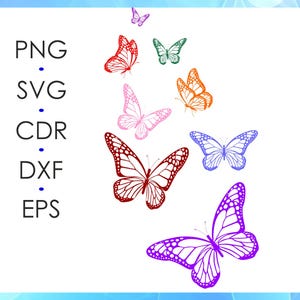 Schmetterling SVG Bundle | Farbe & Schwarz Png SVG Dxf Cdr Eps | Digitale Clipart für Cricut, Schmetterling Clipart, Sublimation
