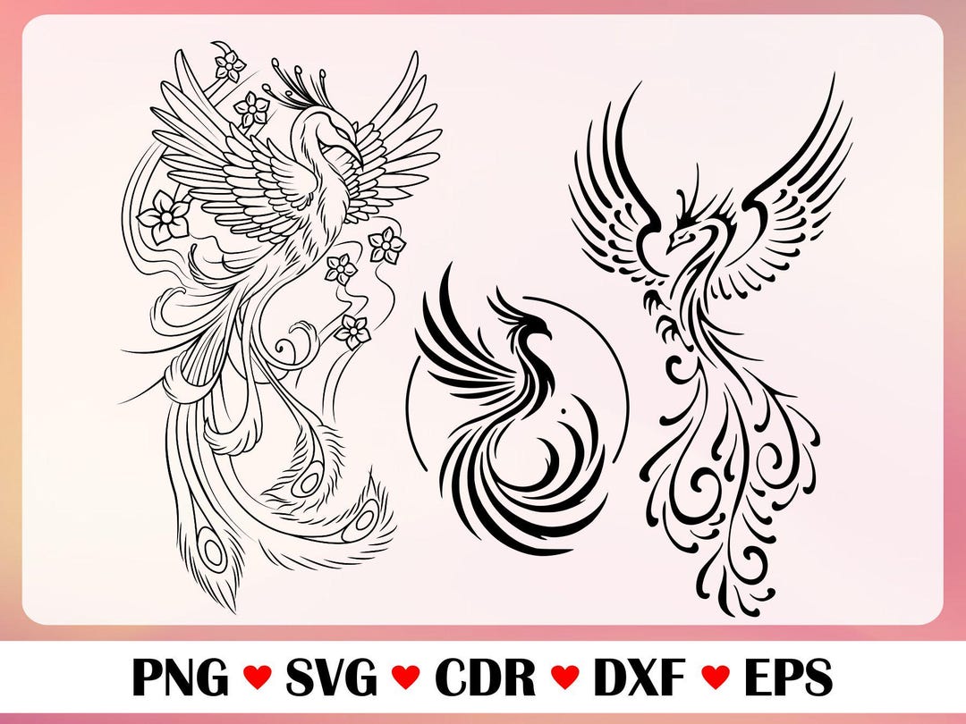 Phoenix Vectordraw Phoenix Drawings, Phoenix Vector, Phoenix Silhouette Set, Phoenix Png ...