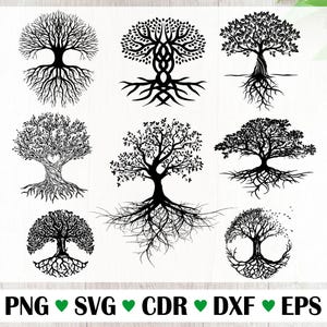 Tree vector with roots, Vector Files For Laser, Set of trees with silhouette, illustration simple, black svg, tattoo set, ornament png