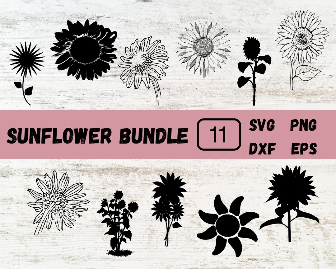 Sunflower Svg, Flower Svg, Sunflower Png, Svg Files for Cricut - Etsy