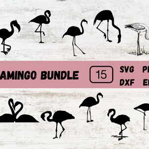 Flamingo svg, pink flamingo svg, svg files for cricut, svg