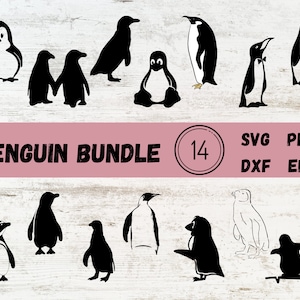 Penguin SVG Bundle, Penguin Cut File, Penguin Clipart