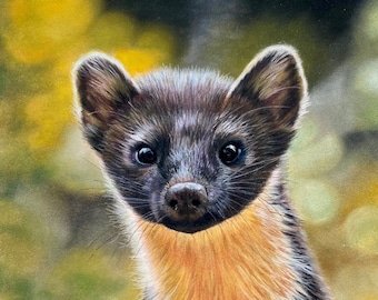 Peeping Tom the Pine Marten Painting, Pine Marten Art, Pine Marten Gicleé print from original "Peeping Tom" artwork