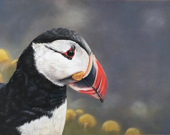 Puffin pastel art, Puffin Painting, Puffin Giclée print from original artwork, Puffin artwork, Puffin Bird art, Original Puffin art