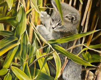 Cuadro original y grabados Giclée de "En el bosque" Pequeño gatito gris en bambú