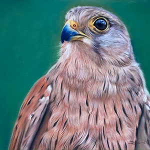 Kestrel Giclée-Drucke von der Originalkunstwerk, Kestrel Malerei, Kestrel Vogel Kunst, Raubvogel Kunst, Raptor Kunst, Vogel Kunst
