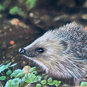 Pintura de erizo, obra de arte de erizo, impresión giclée de erizo buscando comida