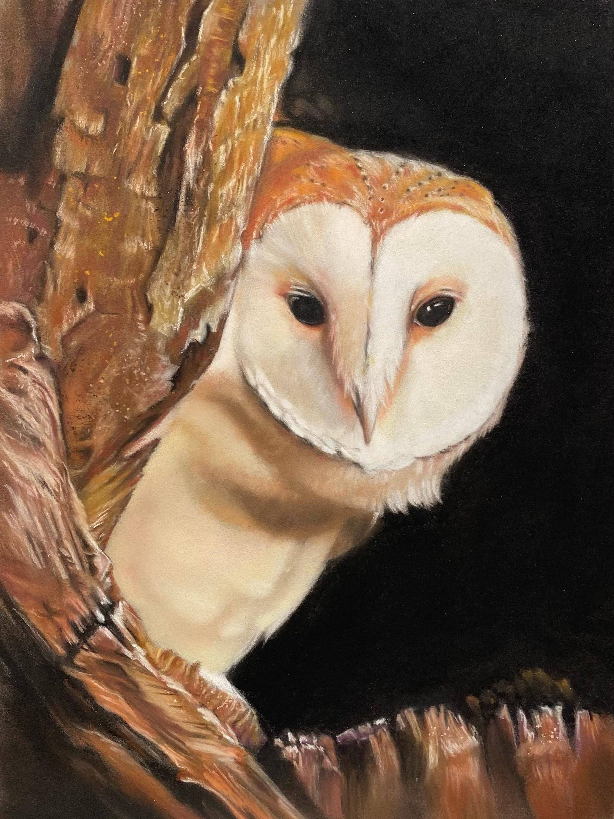 Barn Owl Original framed painting in pastel