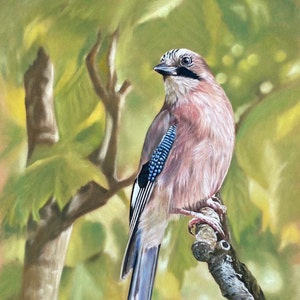 Jay Bird Painting, British Bird Artwork, Jay Bird Giclée from original artwork, Irish Bird Art, Signed print Jay Bird