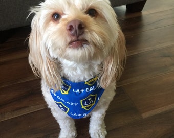 la galaxy dog jersey