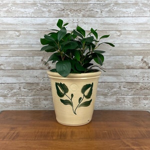 May include: A cream-colored ceramic planter with green floral designs. The planter has a drainage hole and is filled with a green leafy plant.