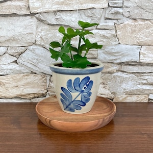 May include: A white ceramic planter with a blue floral design, featuring a leafy pattern. The planter is filled with a green plant and sits on a wooden coaster.
